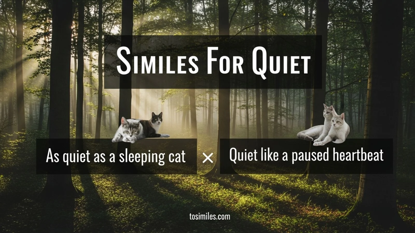 Similes for Quiet